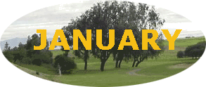 &nbsp;&nbsp;&nbsp;&nbsp;&nbsp;JANUARY &nbsp;&nbsp;&nbsp;&nbsp;&nbsp;